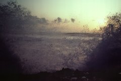 April 23, 1983 | Pacific Ocean, MacKerricher State Park, California, USA