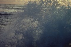 April 23, 1983 | Pacific Ocean, MacKerricher State Park, California, USA