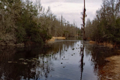 February 22, 1983 | Stephen C. Forster, State Park, Georgia, USA