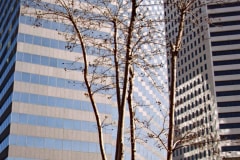 March 1, 1983 | 1555 Poydras St., New Orleans, Louisiana, USA