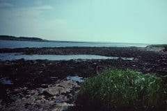 June, 1983 | Atlantic Coast, Maine, USA