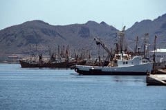 March 31, 1983 | Guaymas, Sonora, Mexico