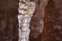 March 10, 1983 | Carlsbad Caverns National Park, New Mexico, USA