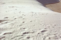 March 11, 1983 | White Sands National Monument, New Mexico, USA