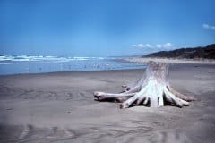 April 27, 1983 | Pacific Coast, Oregon, USA