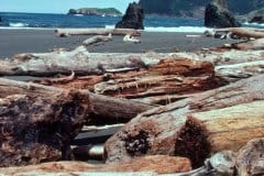 April 26, 1983 | Pacific Coast, Oregon, USA