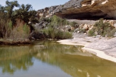 March 7, 1983 | Seminole Canyon State Park, Texas, USA
