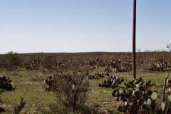 March, 1983 | Texas, USA