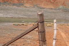 May 14, 1983 | Granite Pass, Big Horn Mountains, Wyoming, USA