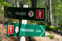 June 5, 2022 | Hiking trail to the preikestolen, Ryfylke, Norway