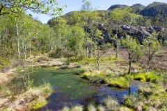 June 5, 2022 | Near Preikestolen, Ryfylke, Norway