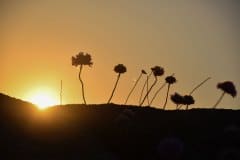 June 6, 2022 | Sunset at Sandhåland Camping, Sandve, Norway