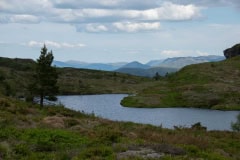 June 7, 2022 | Hiking to Stølanuten, Nedstrand, Norway