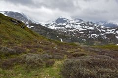 June 18, 2022 | Nedre Oscarshaug (Viewpoint), Sognefjellsveien, Norway