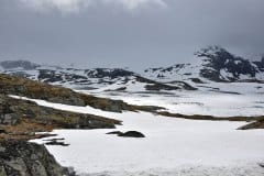 June 18, 2022 | Sognefjellsveien, Norway