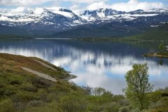 June 19, 2022 | Lake Øvre Sjodalsvatnet, Norway