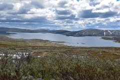 June 19, 2022 | Lake Rjupetjedn, Norway