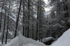 March 13, 2018 | Oberwald VS, Switzerland