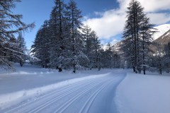 January 19, 2019 | Oberwald VS, Switzerland