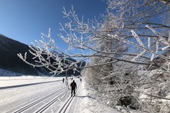 January 20, 2019 | Oberwald VS, Switzerland