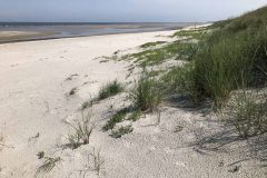 June 19, 2019 | Coast of Frederikshavn, Denmark