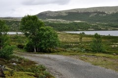 June 25, 2019 | Lake Avsjøen near Dombås, Norway