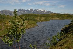 June 30, 2019 | Sjonatfjord, Norway