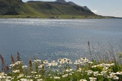 July 3, 2019 | near Tussan, Lofoten, Norway