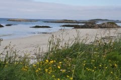 July 5, 2019 | Coast of Andenes, Norway