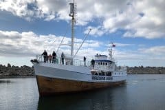 July 5, 2019 | Whalesafari Boat, Andenes, Norway