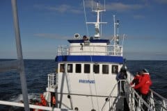 July 5, 2019 | Whalesafari Boat, Andenes, Norway