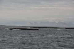 July 5, 2019 | Coast of Andenes, Norway