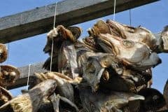 July 7, 2019 | Drying Stockfish, Hovden, Norway