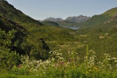 July 7, 2019 | near Ryggedalsvatnet Lake, Norway