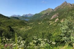 July 7, 2019 | near Ryggedalsvatnet Lake, Norway