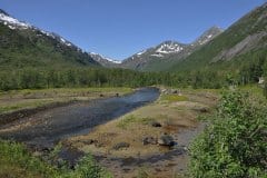 July 8, 2019 | Løbergselva, near Våtvoll, Norway