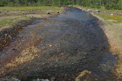 July 8, 2019 | Løbergselva, near Våtvoll, Norway