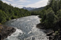 July 9, 2019 | Salangselva River, Polar-Park, Norway