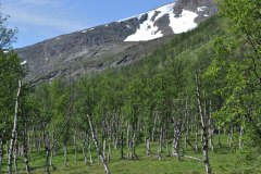 July 11, 2019 | near Oksfjordhamn, Norway