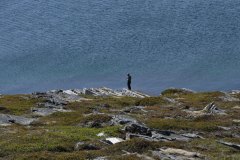 July 12, 2019 | near Repvåg, Norway