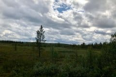 July 14, 2019 | near Hetta, Finland