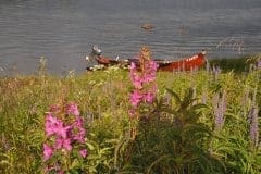 July 14, 2019 | Torne älv River, Pello, Finland