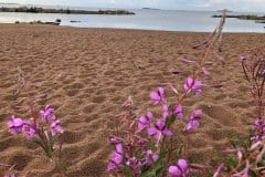 July 21, 2019 | Vänern Lake, Sjötorp, Sweden