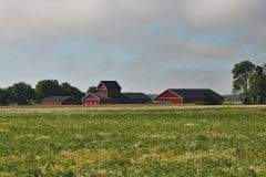 July 24, 2019 | near Brålanda, Sweden