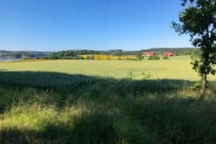 July 24, 2019 | near Ellenö, Sweden