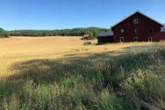 July 24, 2019 | near Ellenö, Sweden