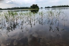 July 29, 2019 | Bolmen Lake, Sweden