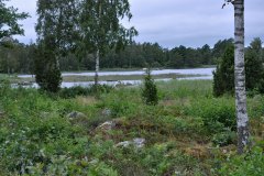 July 30, 2019 | Lake Åsnen Resort, Getnö, Sweden