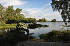 July 31, 2019 | Lake Åsnen Resort, Getnö, Sweden