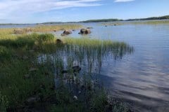 July 31, 2019 | Lake Åsnen Resort, Getnö, Sweden